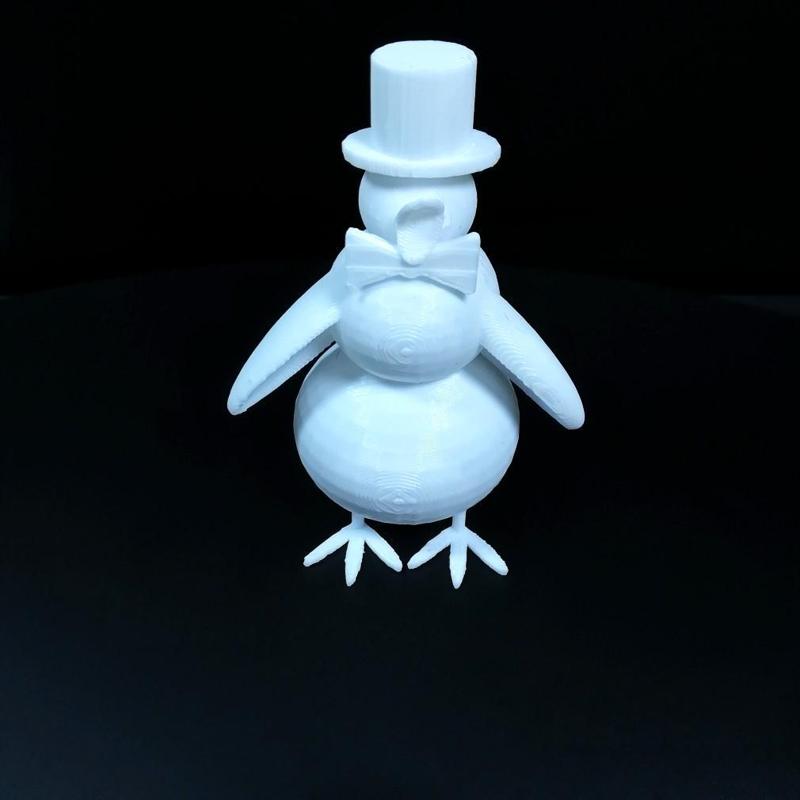 penguin for competition