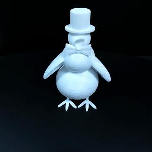 penguin for competition