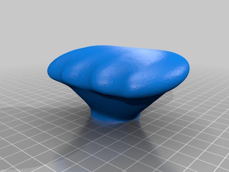 Sentra and versa shifter knob