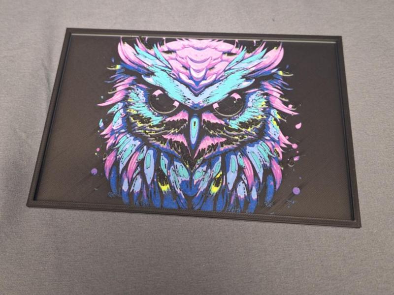 Colorful Owl