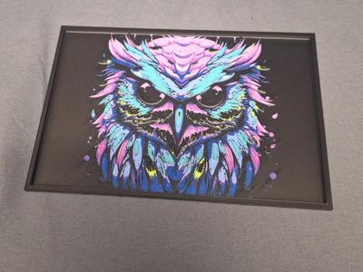 Colorful Owl