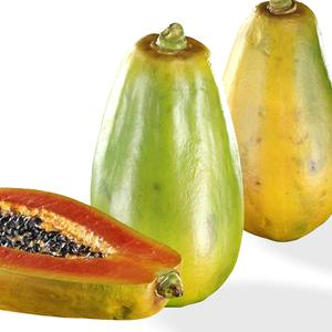 PAPAYA Fanmugua VEGETABLE FRUIT TREE FOREST WOODEN WOOD FLOWER PLANT FOOD DRINK JUICE NATURE VEGETABLE PAPAYA PAPAYE