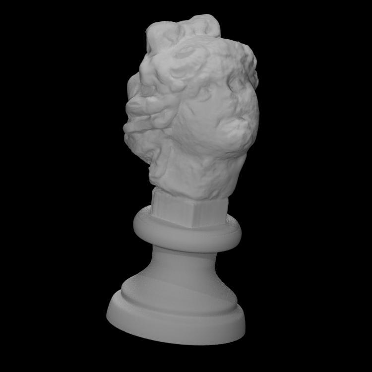 Male Head with idealistic features