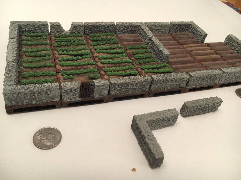Lettuce and Unplanted Fields with Stone Walls