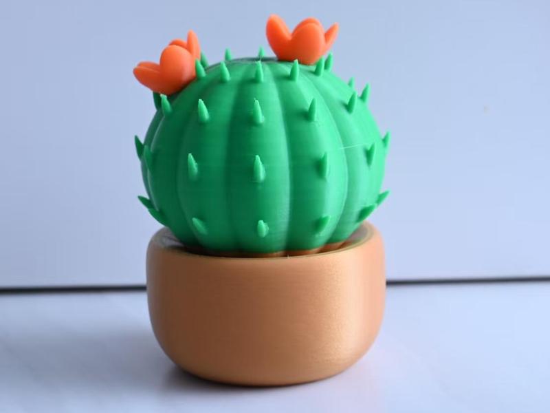 Cactus Potted Blooming Cactus