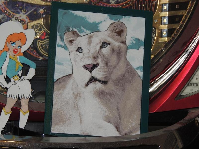 Sheila - Insync Exotics