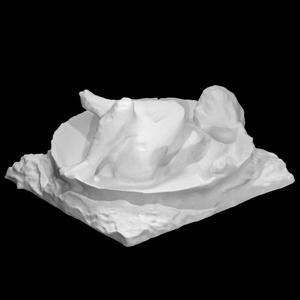 The Tub at The Ny Carslsberg Glyptotek, Copenhagen