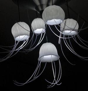 Jelly head lamp