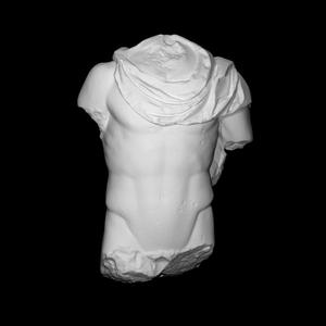 Male torso