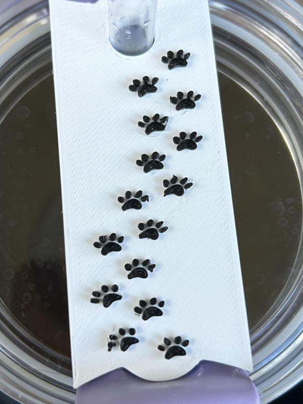 Little Paw Trail Stanley Topper 40oz