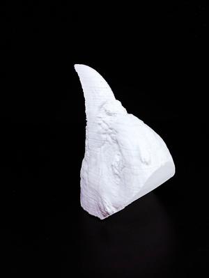 Buff-throated Partridge head