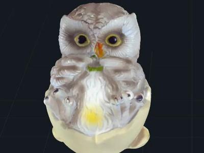 Owl