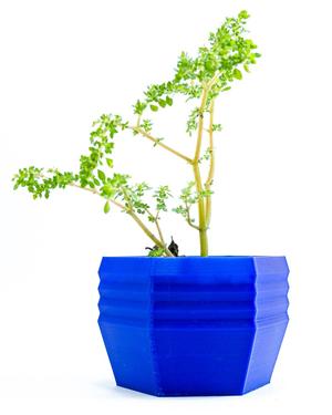 Flower Pot 15 - Pot 15