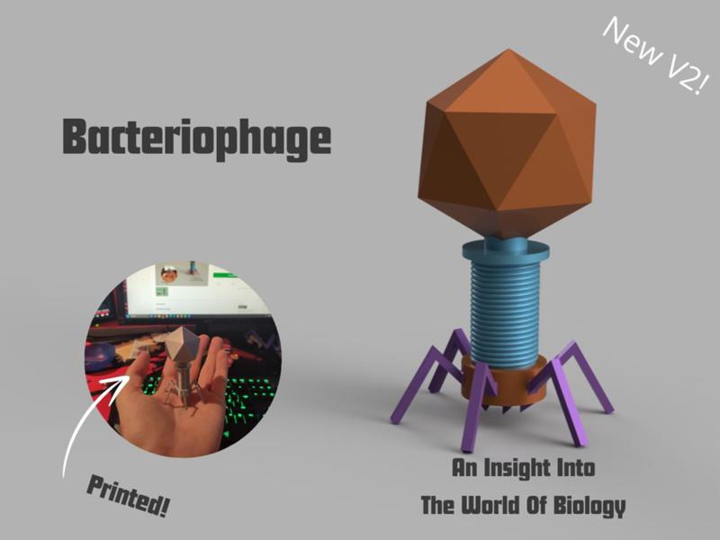 Small Bacteriophage Biology Model 