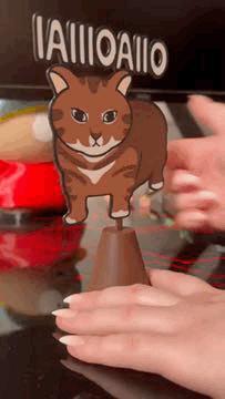 The Spinning cat Ethel- "OIIAOIIIAI" cake topper