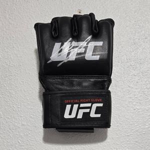 MMA Glove wall mount