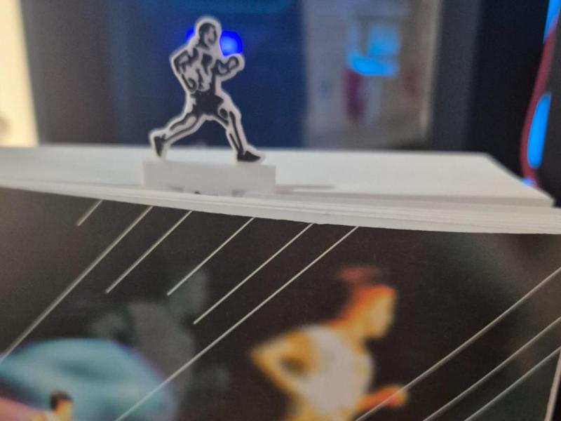 page divider, bookmark.