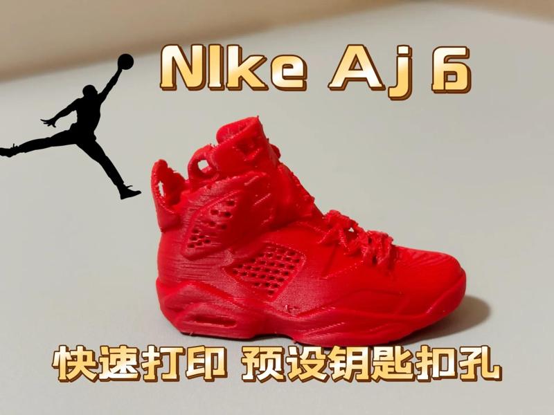 NIKE Air Jordan 6 Sneaker Model with Preset Keychain Hole