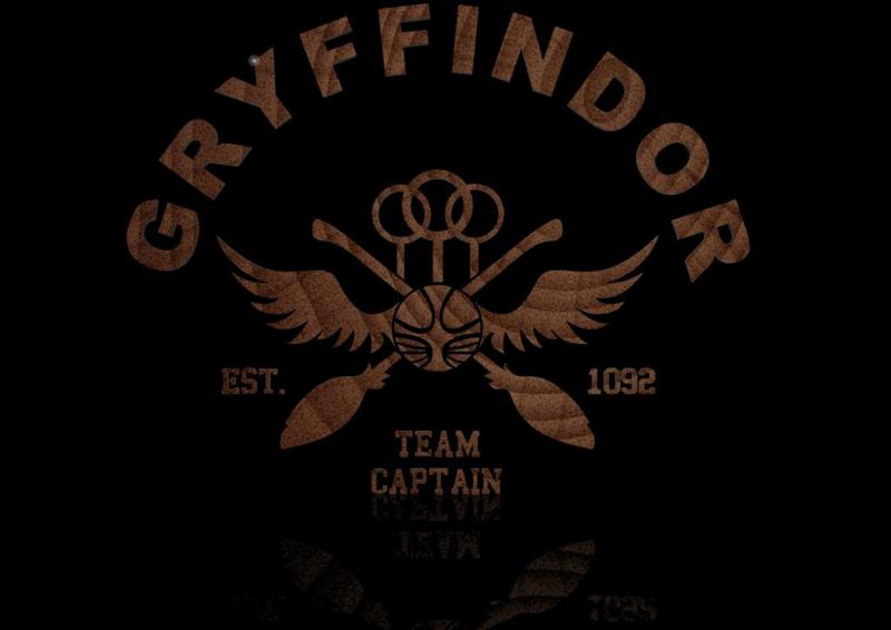 Harry Potter Quidditch Emblem