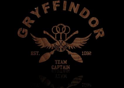 Harry Potter Quidditch Emblem
