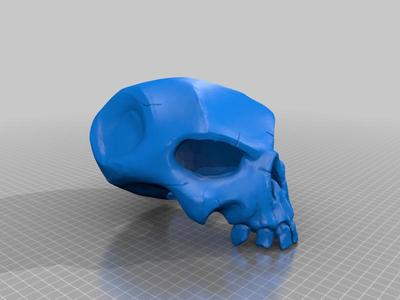 Sea of Thieves Bounty Skull Remix