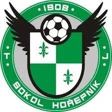 tj sokol hořepník logo   