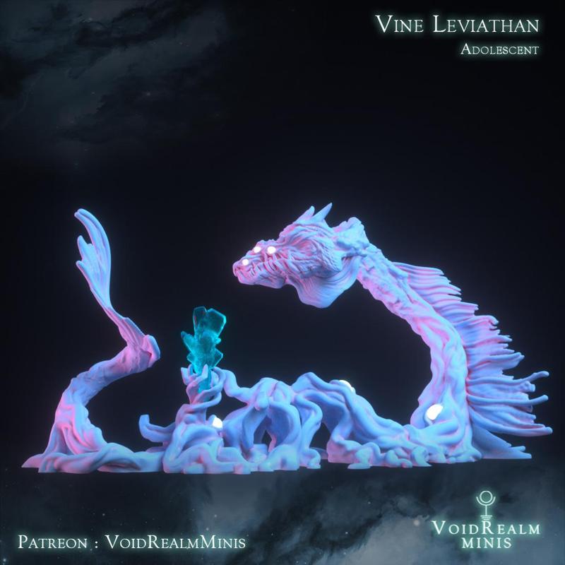 Vine Leviathan (adolescent)