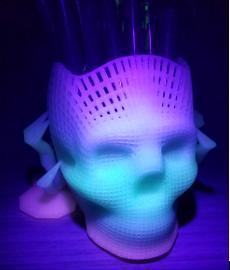 Wireframe Skull with arterial support