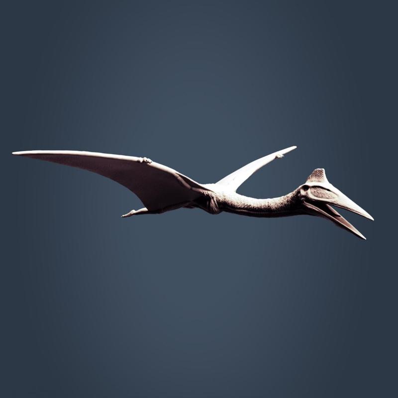 Flying Quetzalcoatlus