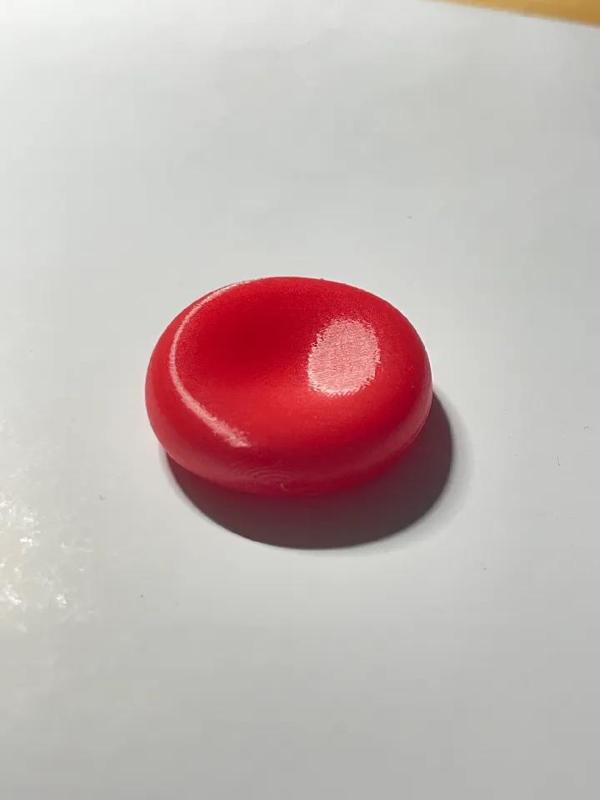 Erythrocyte/Red blood cell   