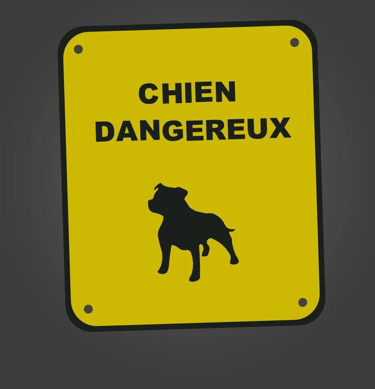 chien dangereux   