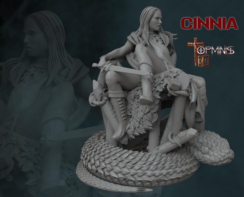 GUERRERA PARA JUEGOS DE ROLL TABLETOP