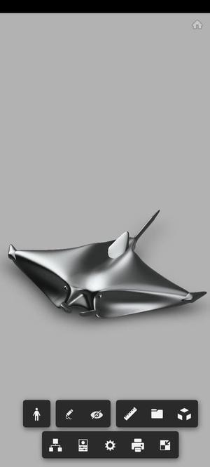 Manta ray