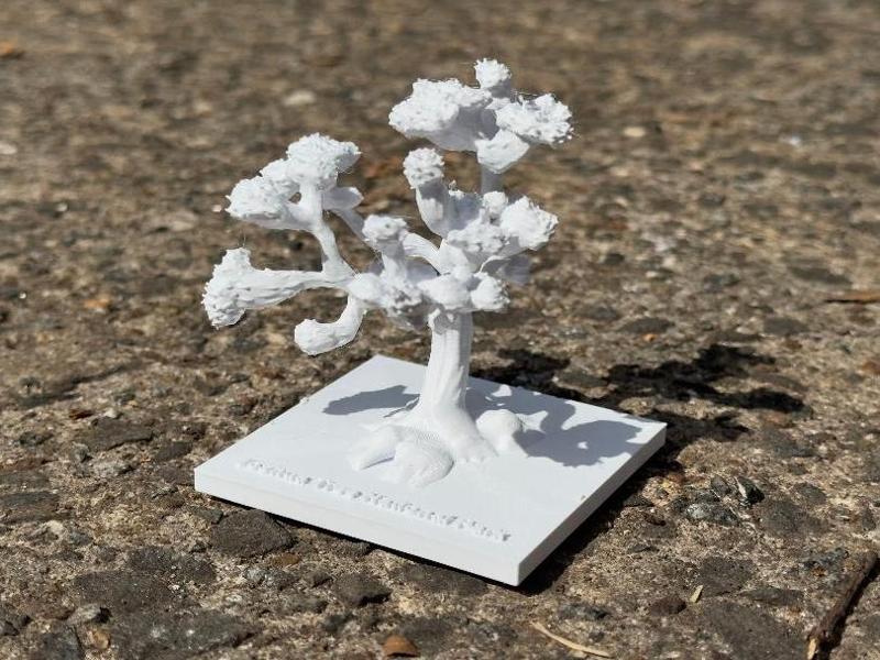 Joshua Tree National Park