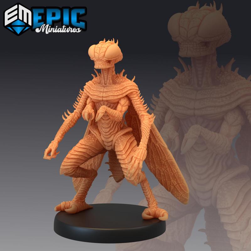 Fly Demon / Insectoid Devil / Minion of Beelzebub / Flying Hell Army / Insect Spawn