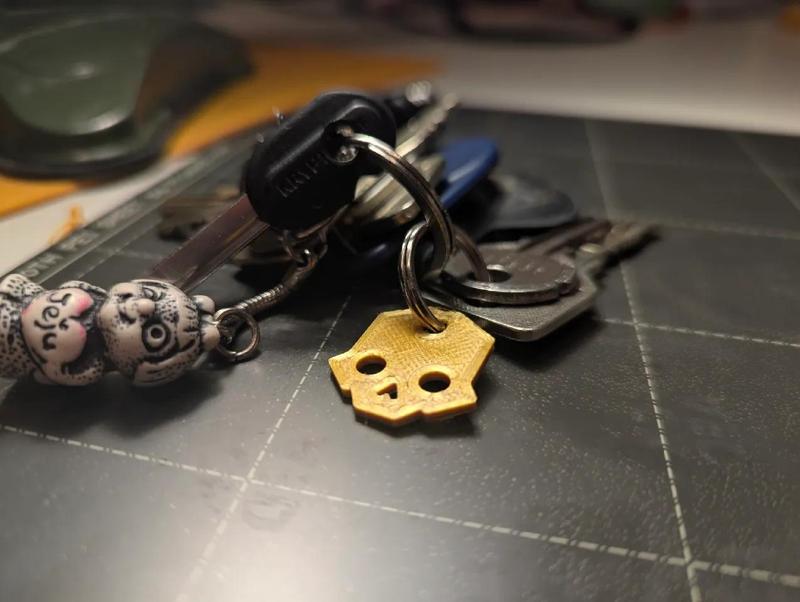 Helldivers Skull key fob   