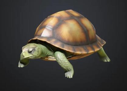 low-poly turtle   