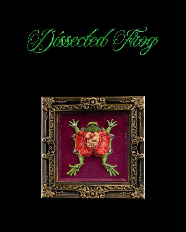 Dissected Frog