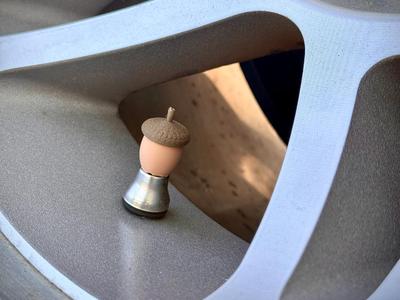 Acorn Valve stem caps ! For Cars & Bikes! 
