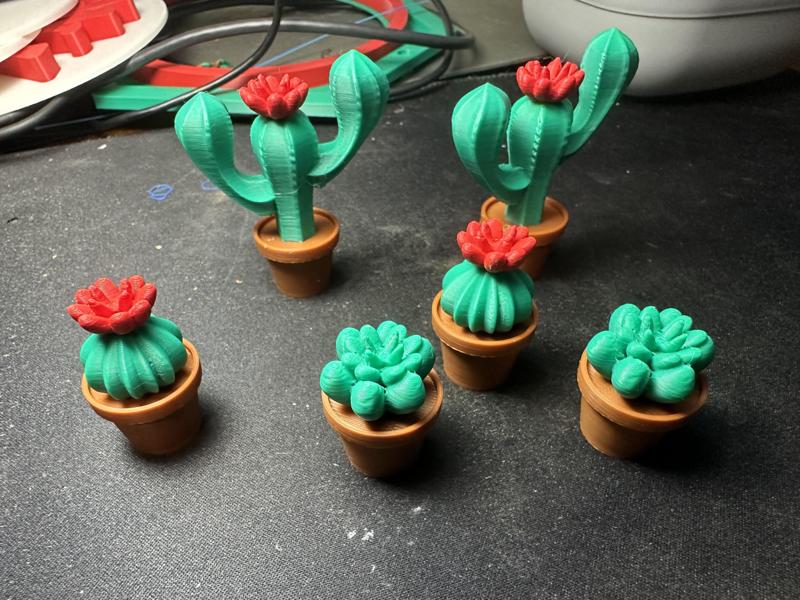 Mini Multicolor succulent Magnet