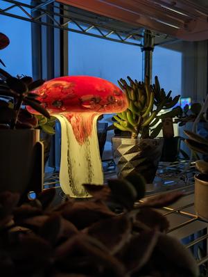 Stand for Solar Mushroom Lights