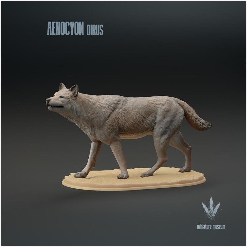 Aenocyon dirus : The Dire Wolf