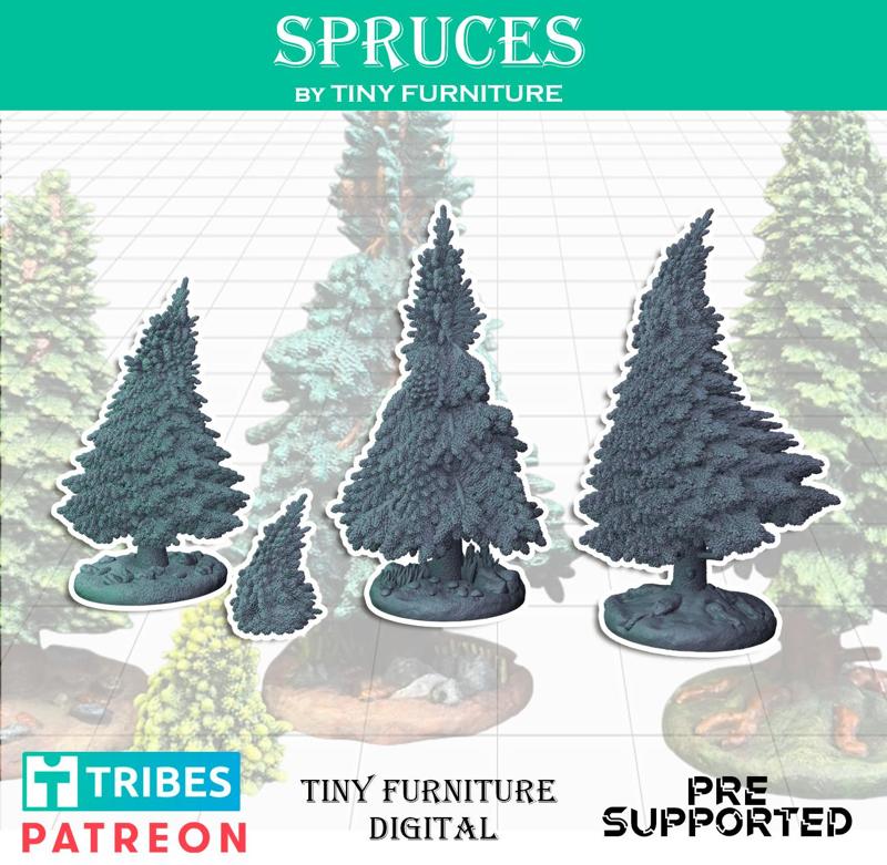 Spruces