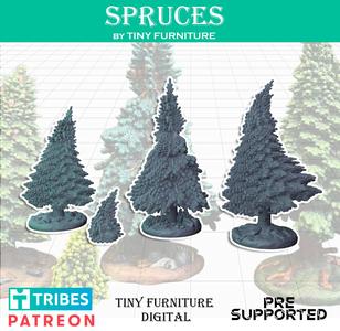Spruces