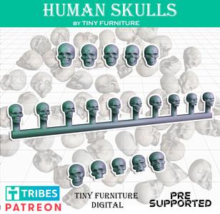 Human skulls