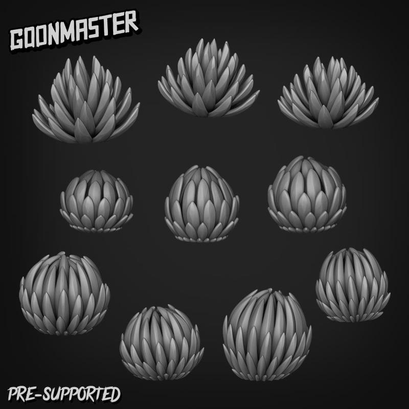 Basing Bits 193 - Agave Victoriae Reginae