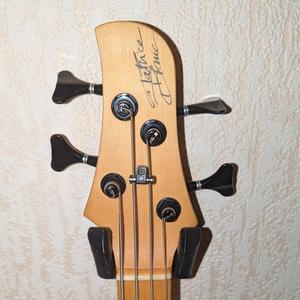 Guitar wall bracket