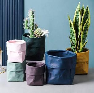 Paper Bag Flowerpot