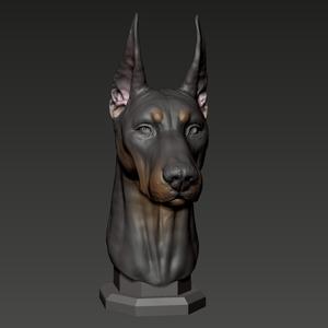  Doberman Pinscher Bust 