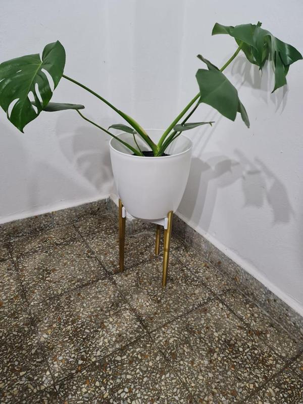 Minimalist tripod planter